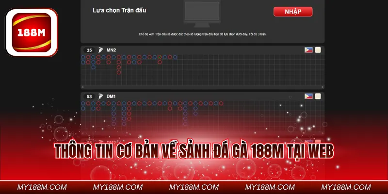 Thông tin cơ bản về sảnh đá gà 188M tại web