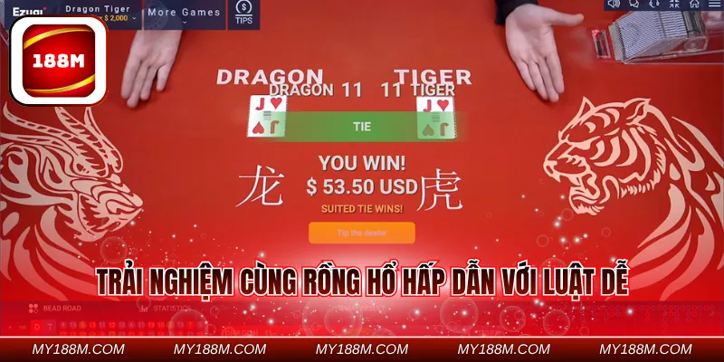 Trải nghiệm cùng rồng hổ hấp dẫn với luật dễ